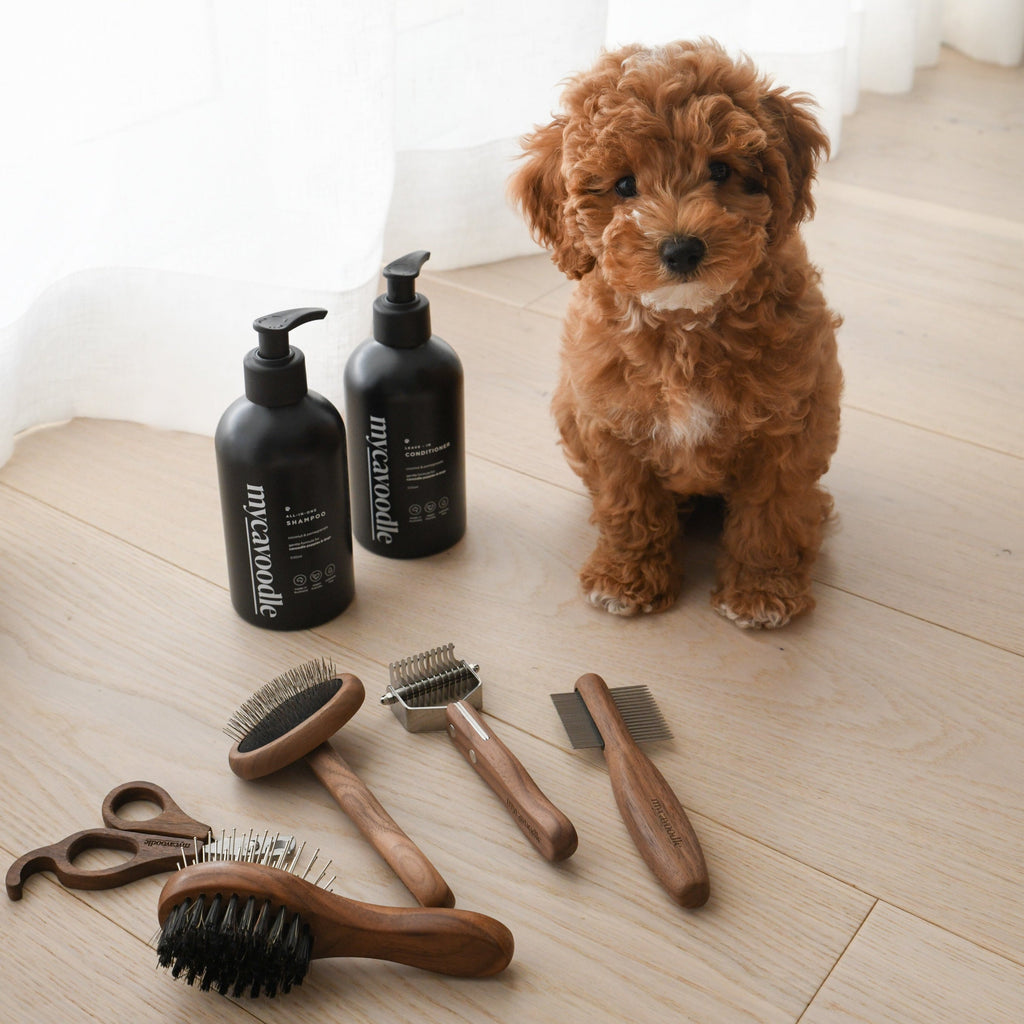 Cavoodle Dog Shampoo product image 9