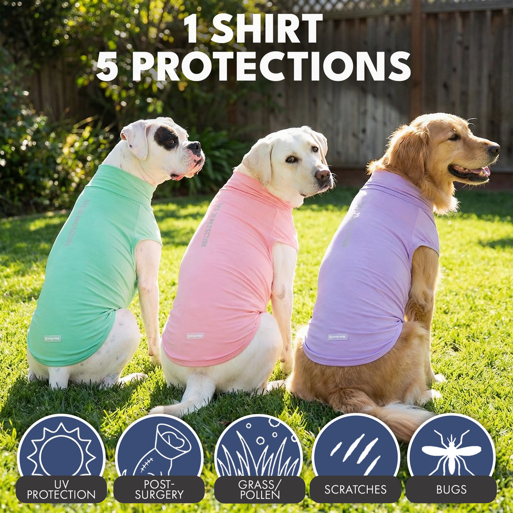 UPF 30 Dog Sun Shirt product image 43