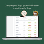 Dog Gut Microbiome Test Kit product image 6