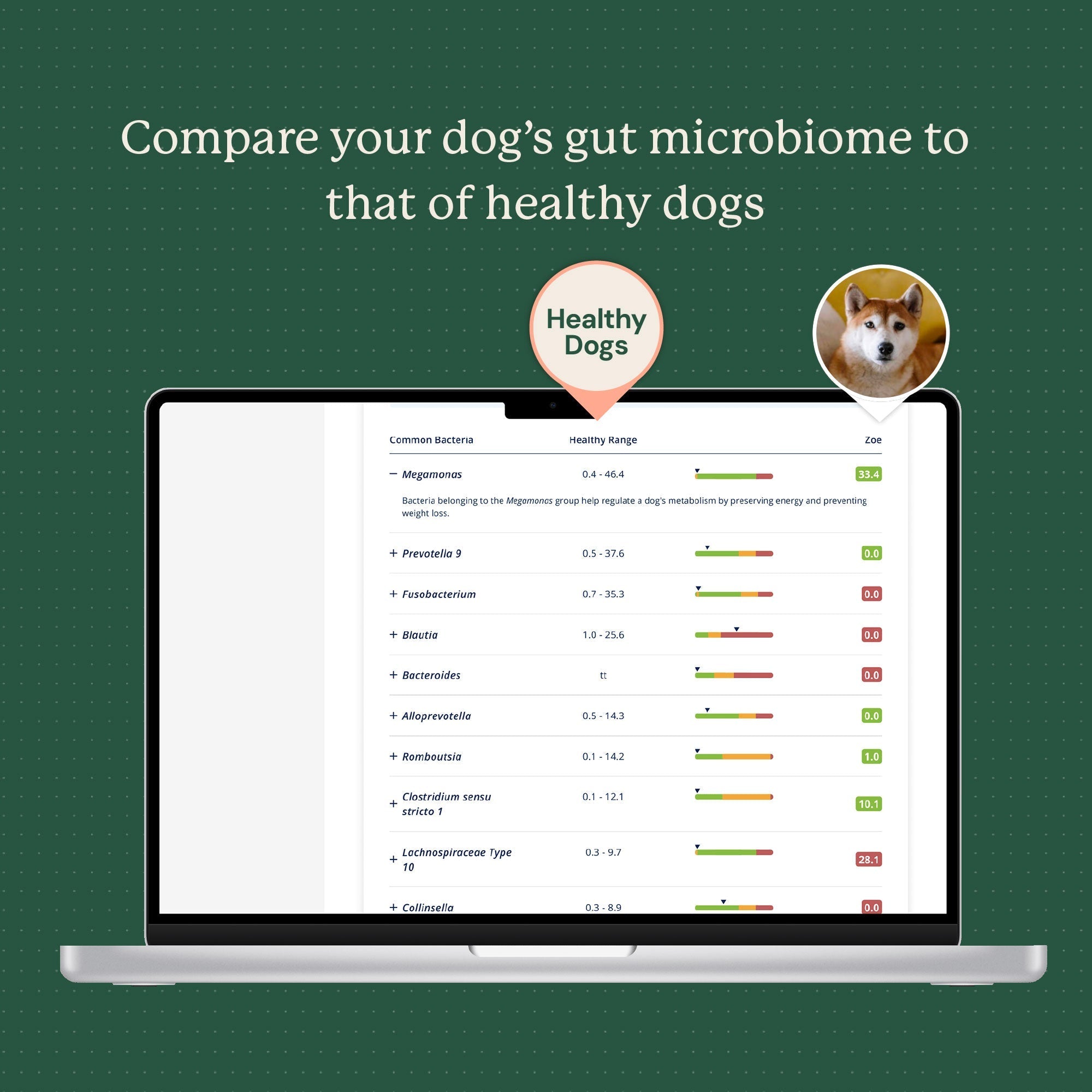 Dog Gut Microbiome Test Kit product image 6