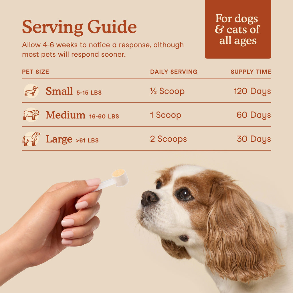 Dog and Cat Probiotic Powder product image 4
