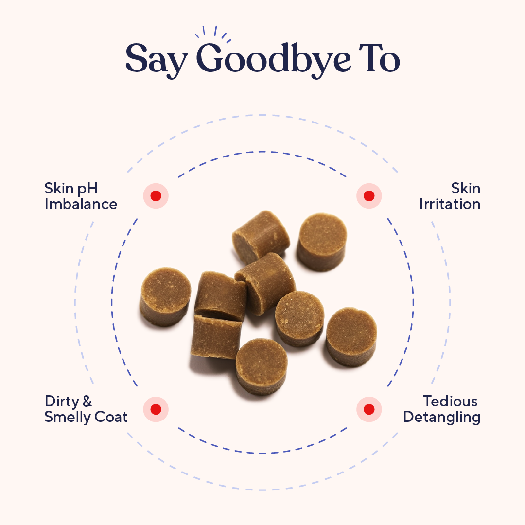 Five-in-One Dog Wash and Conditioner product image 4