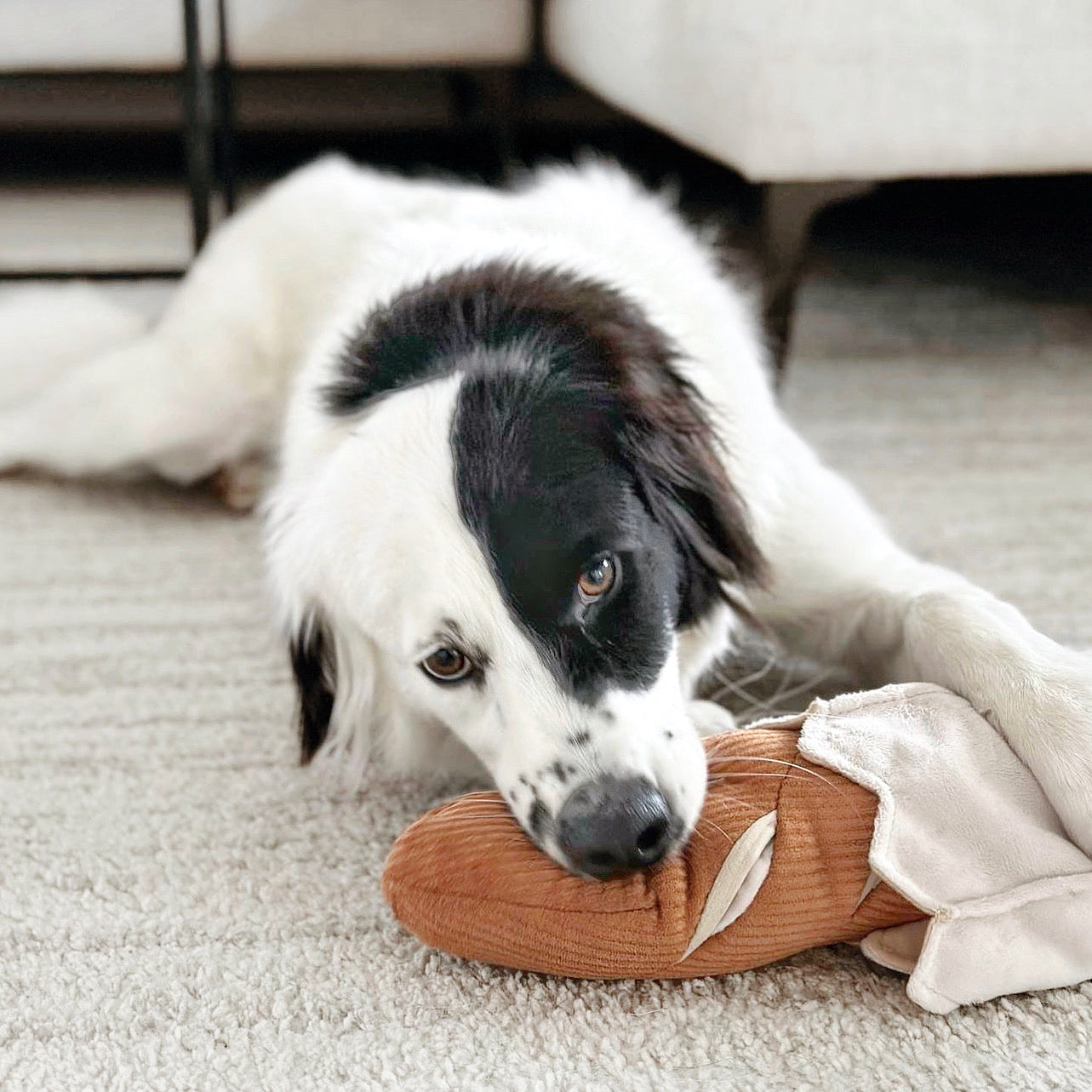 Baguette Enrichment Dog Toy product image 14