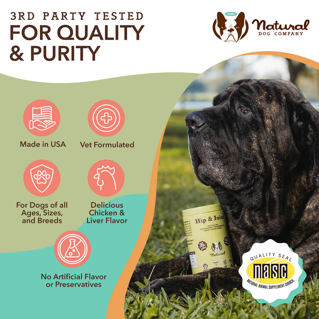 Dog Hip and Joint Soft Chews product image 6