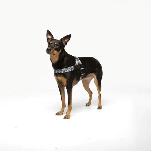 Adjustable Grab-Handle Dog Harness product image 57