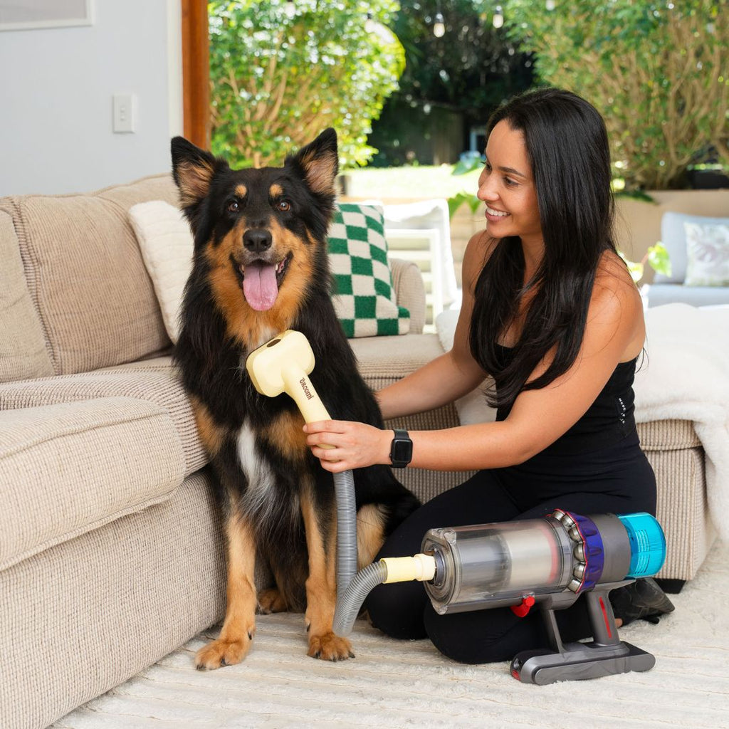Vacuum Pet Grooming Brush Kit product image 5