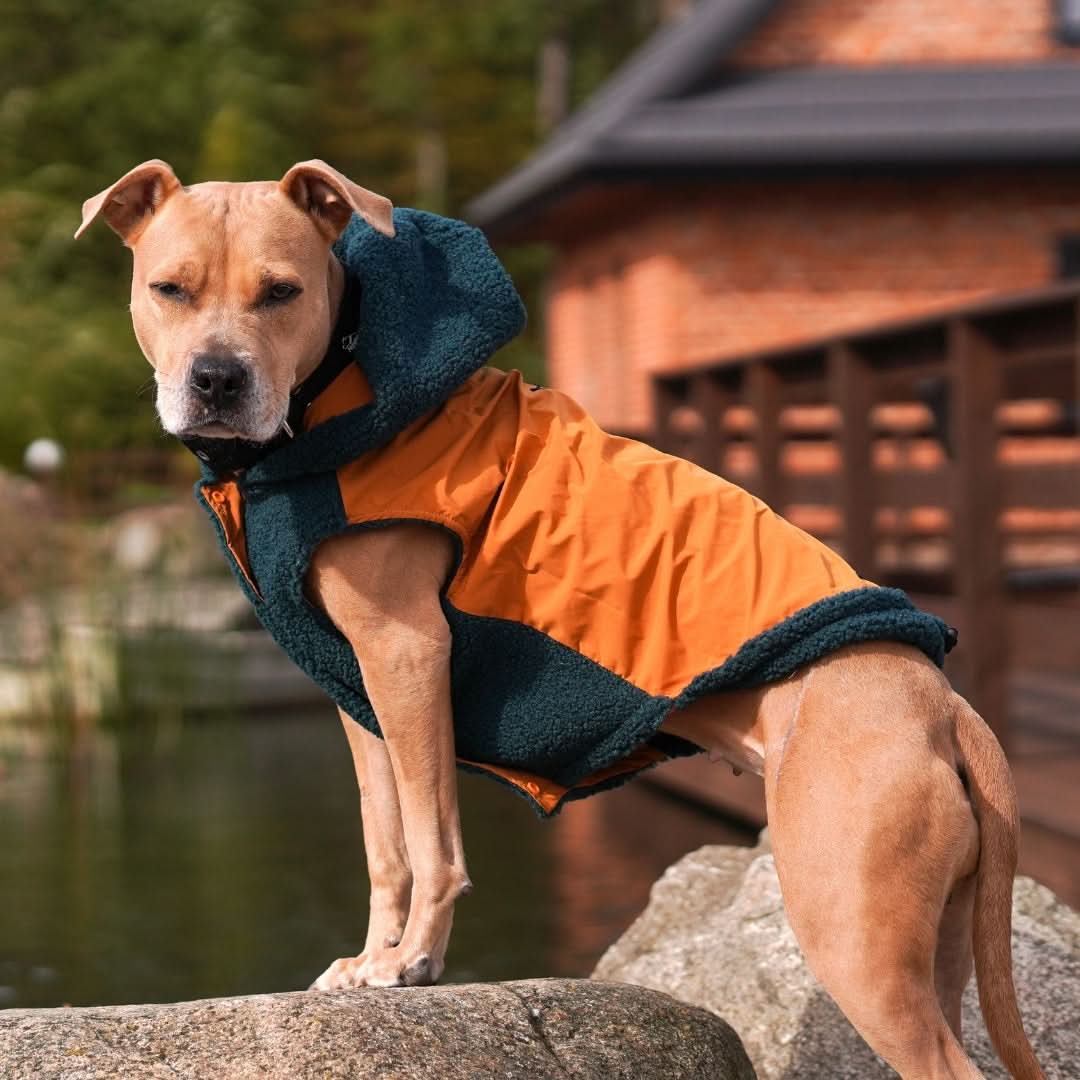 Reversible Dog Jacket product image 2