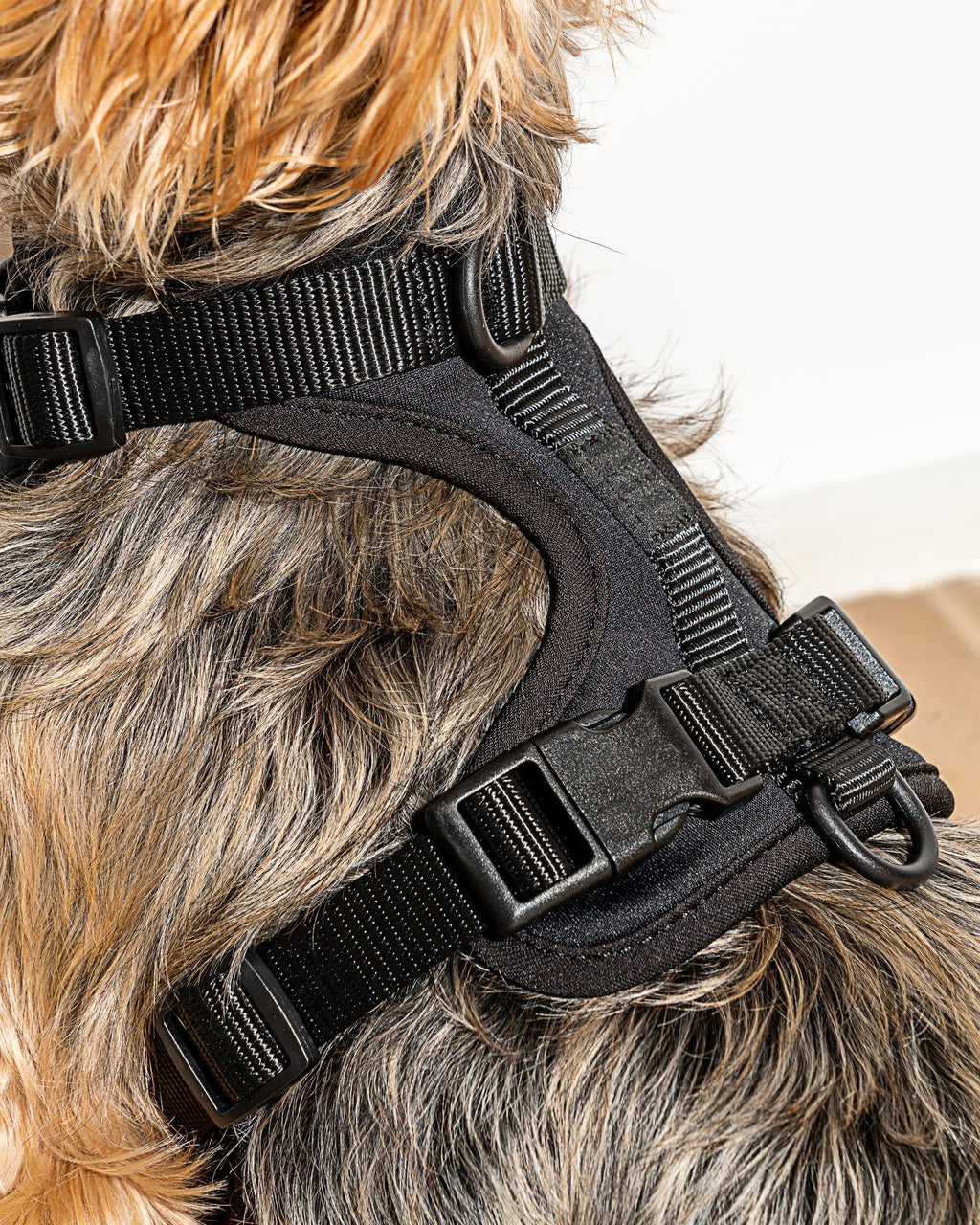 Cushioned No-Pull Dog Harness product image 54