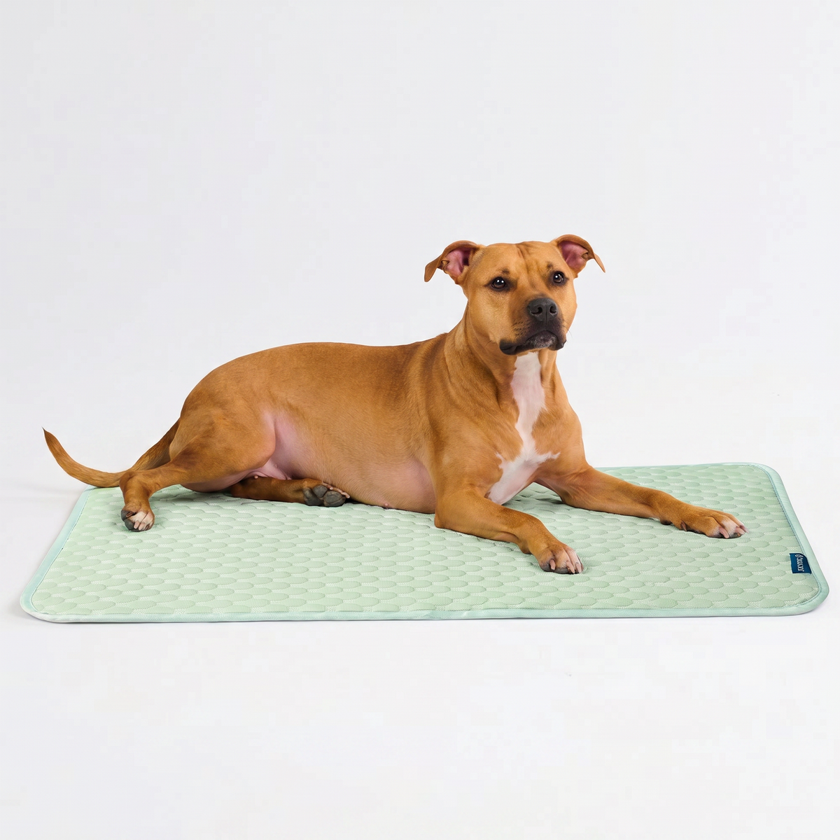 Breathable Cooling Dog Mat product image 55
