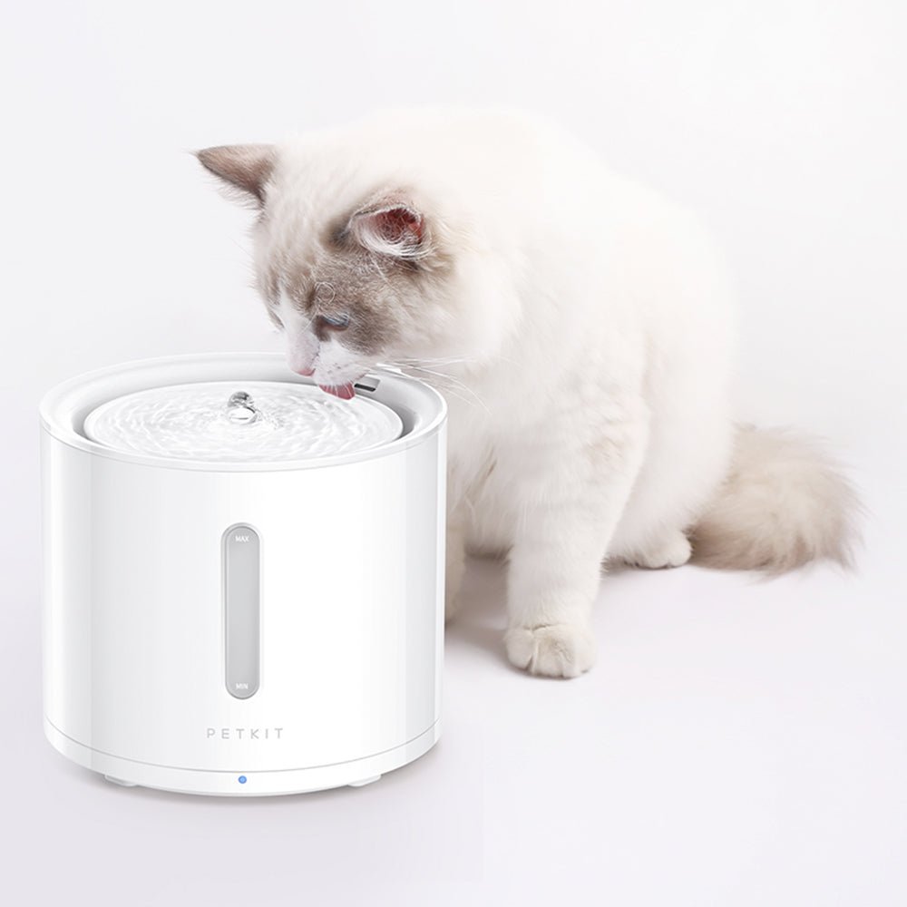 Pet Water Fountain Replacement Filters product image 5