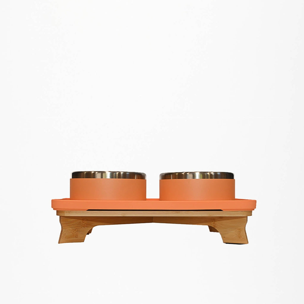 Elevated Pet Slow Feeder and Bowl Set product image 17