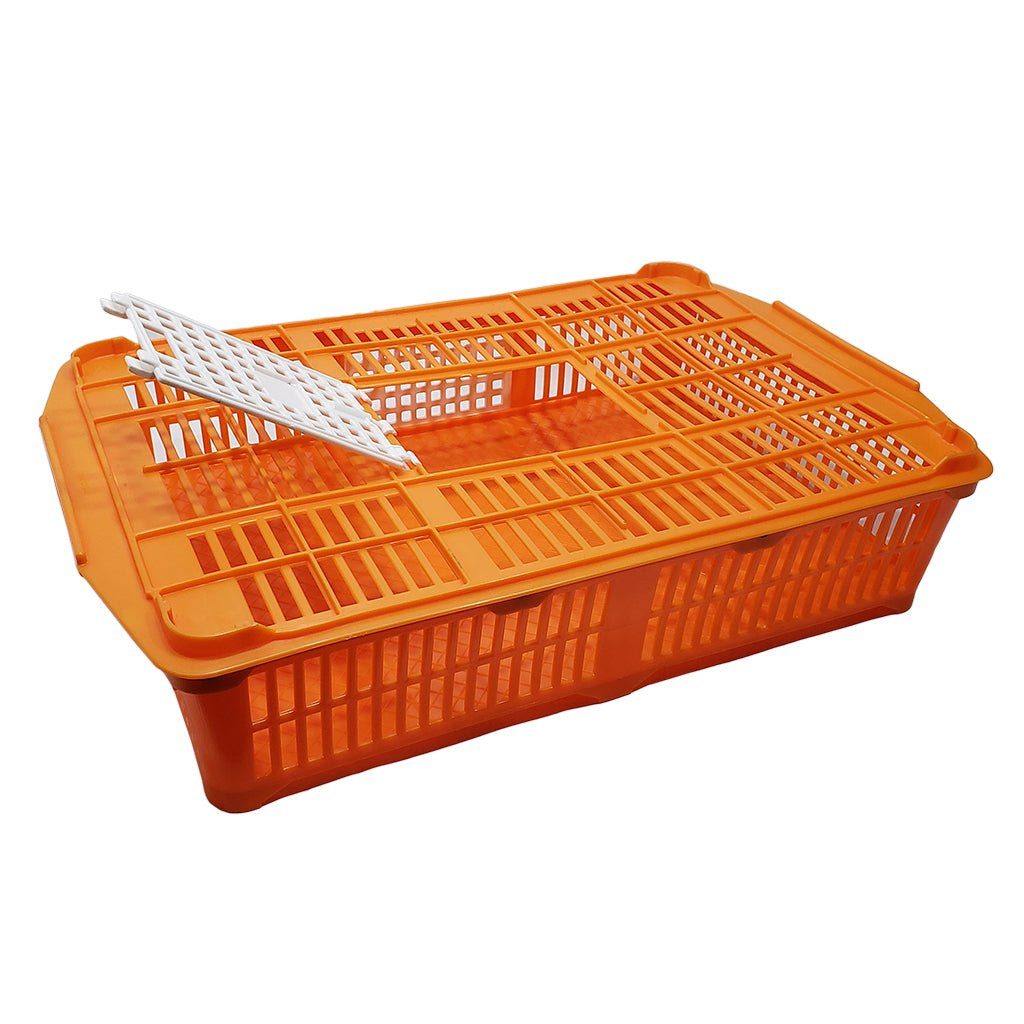 Quail Transport Crate product image 3