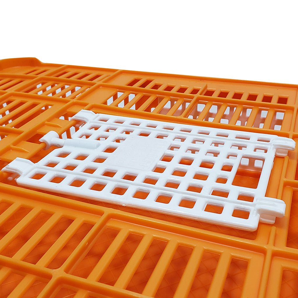 Quail Transport Crate product image 4