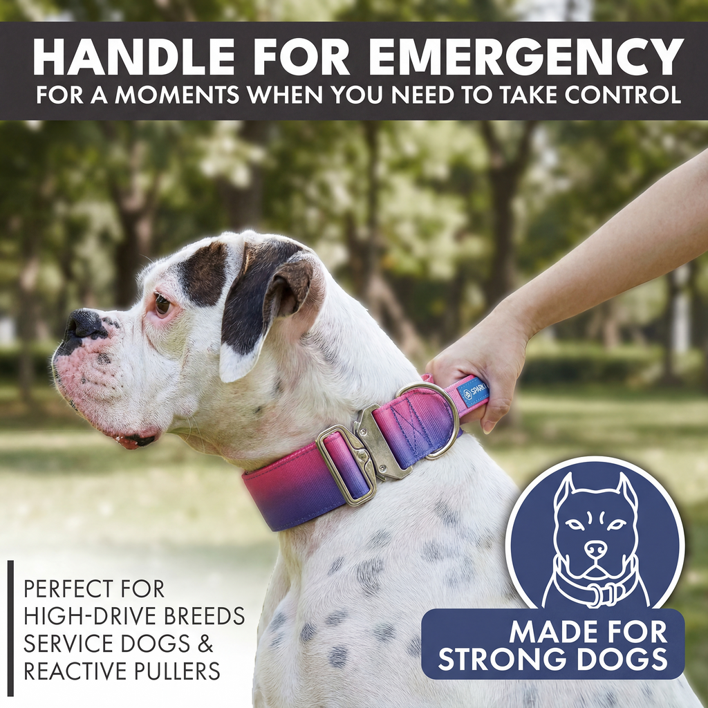 Padded Control-Handle Dog Collar product image 3