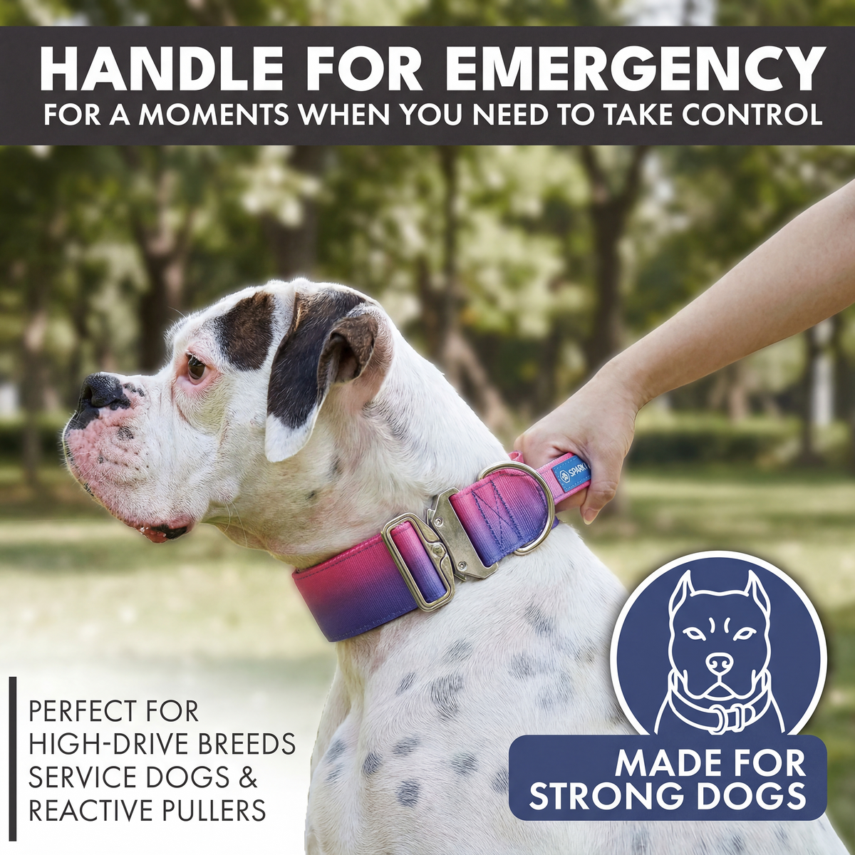 Padded Control-Handle Dog Collar product image 3