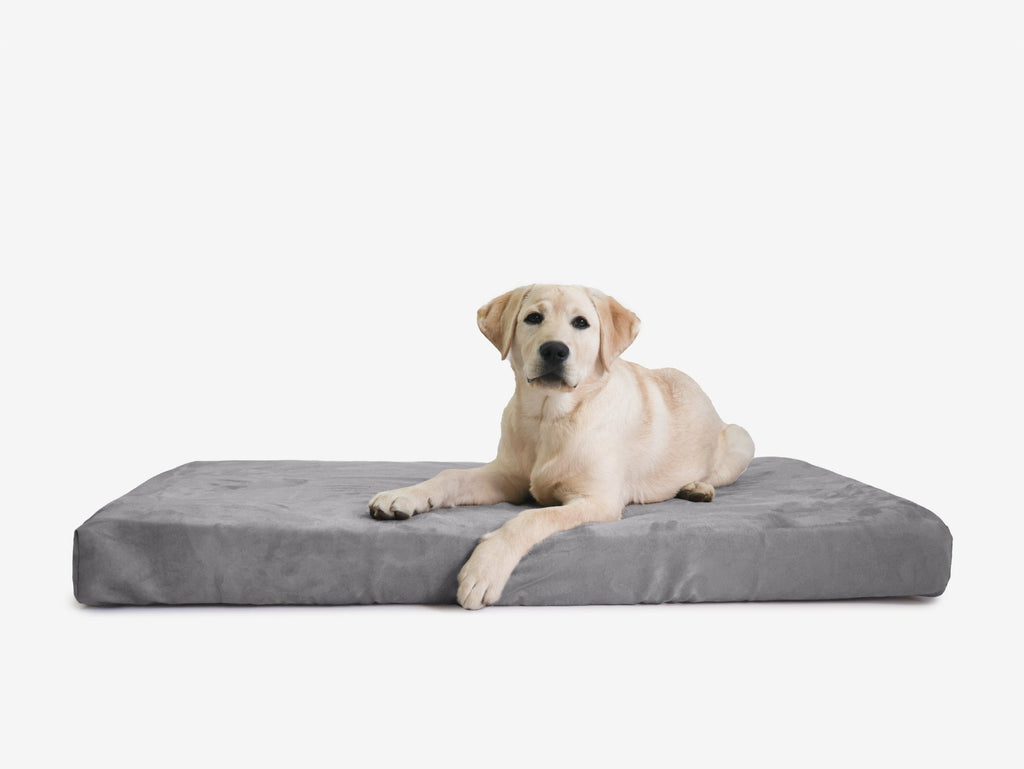 Orthopedic Dog Crate Bed product image 17