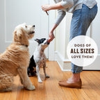 Slow-Smoked Jerky Stick Dog Treats product image 3