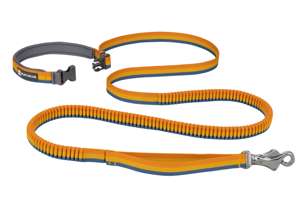 Hands-Free Bungee Dog Leash product image 4