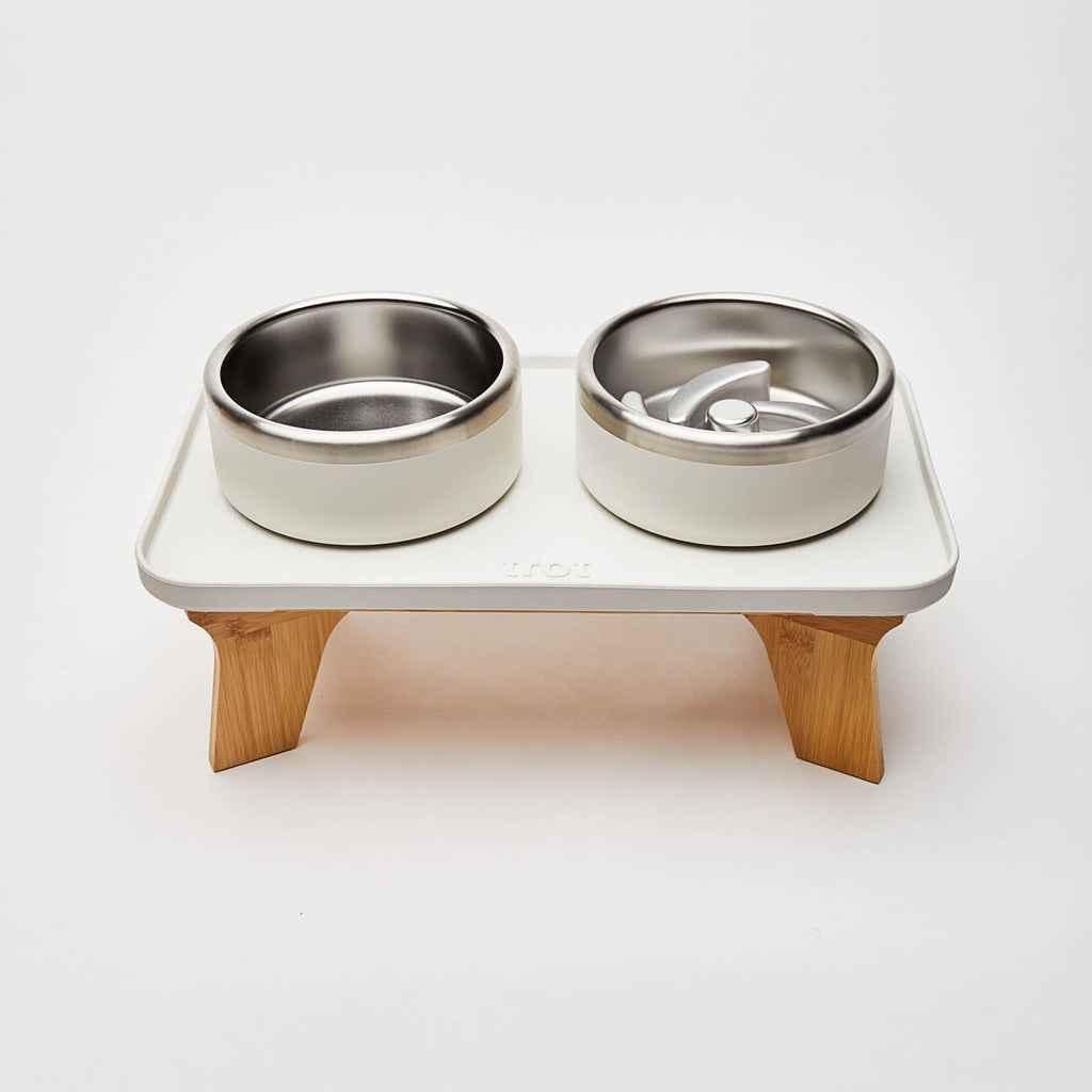 Elevated Pet Slow Feeder and Bowl Set product image 6