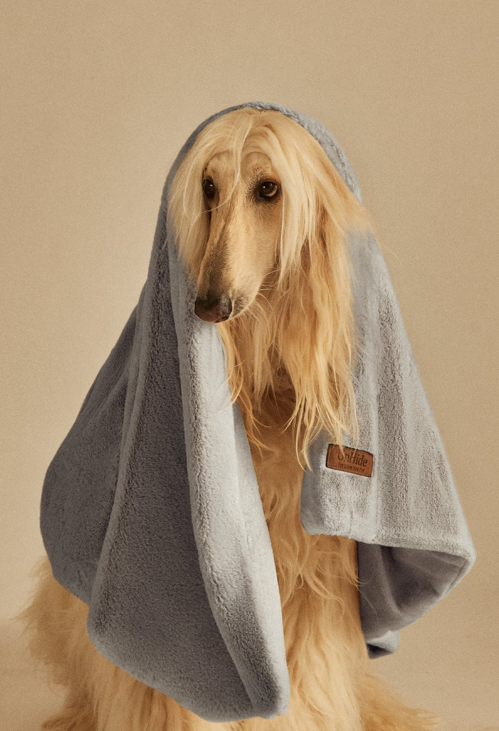 Water-Resistant Pet Blanket product image 39