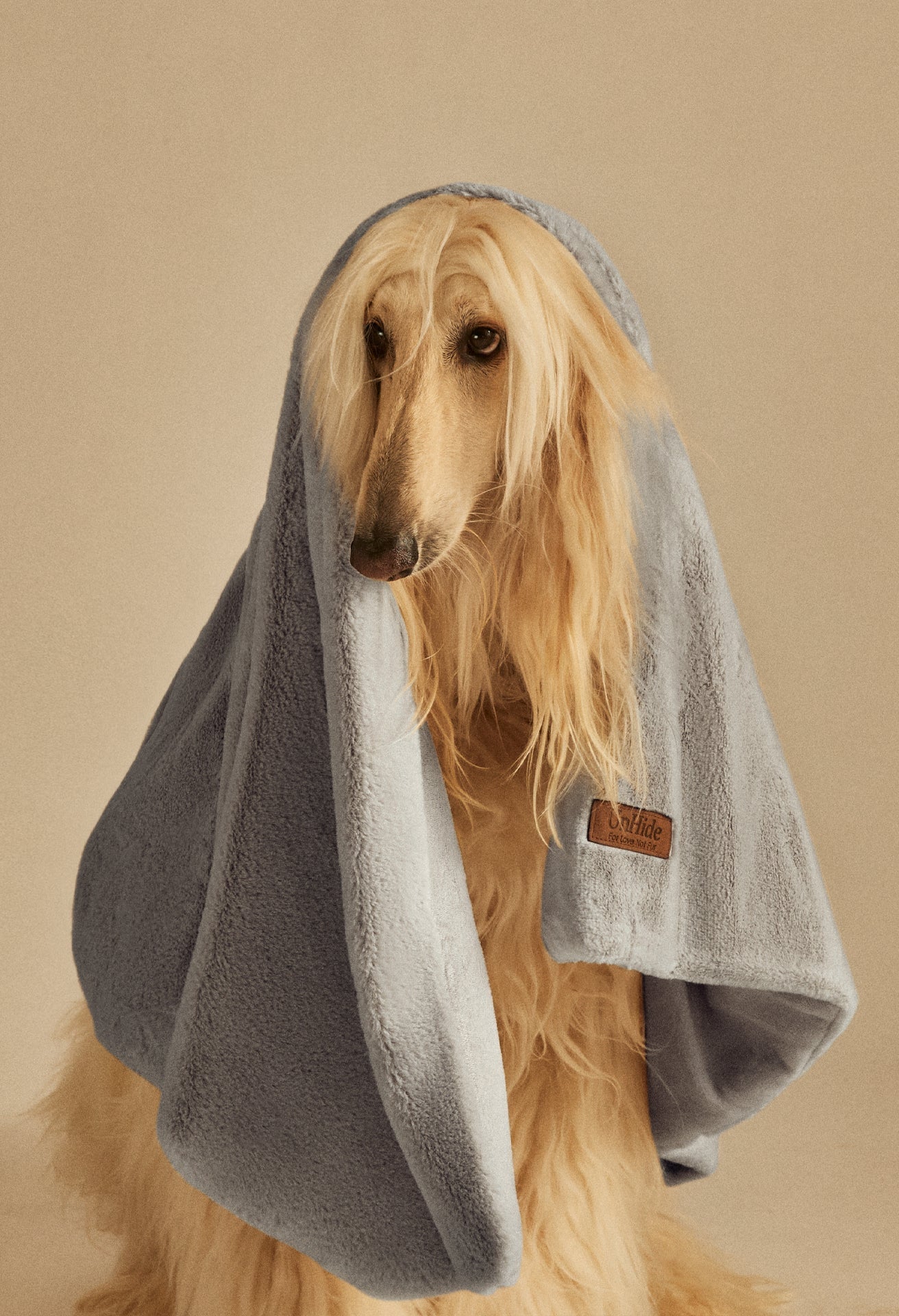 Water-Resistant Pet Blanket product image 39