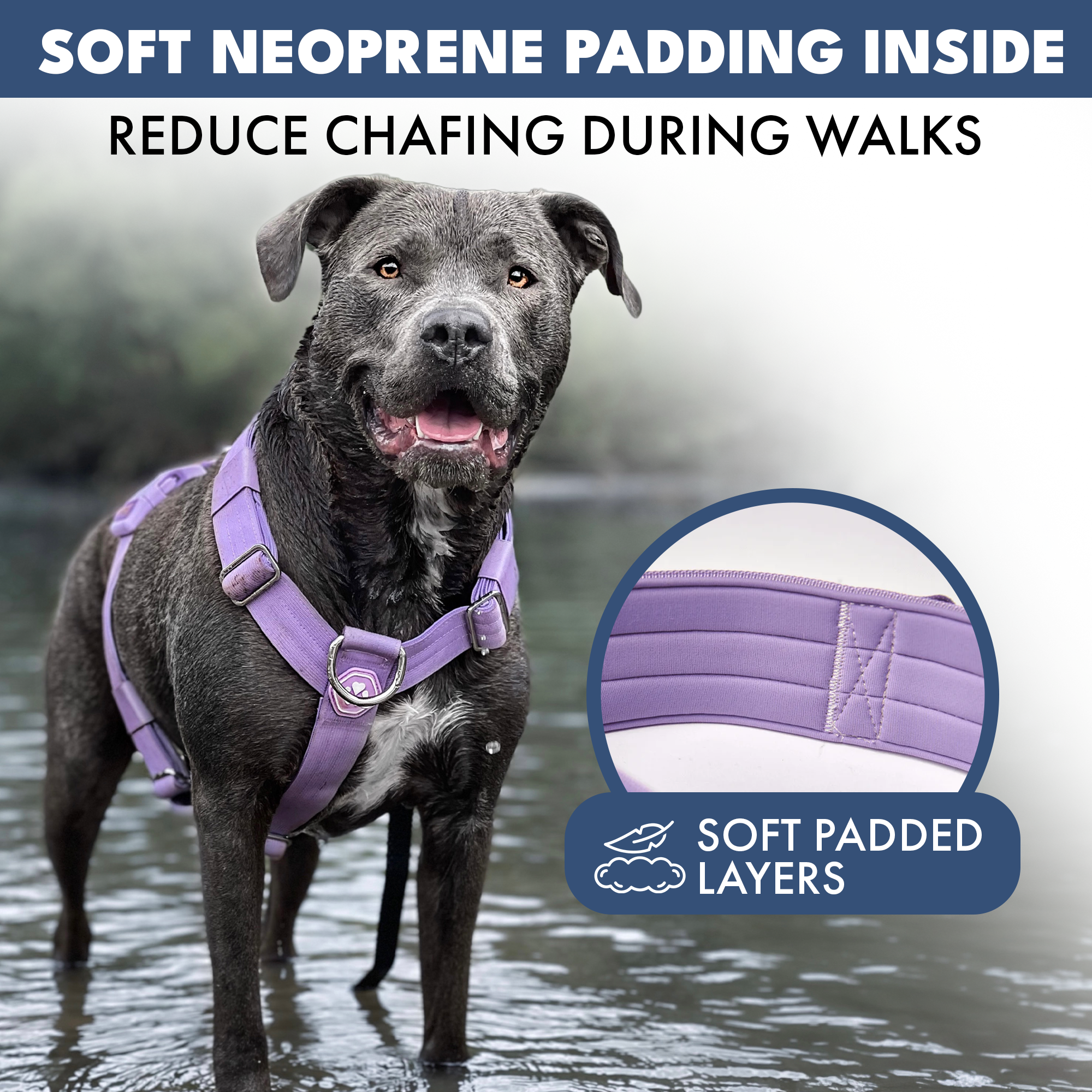 No-Pull Dog Harness Walking Set product image 47