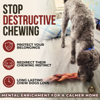 Braided Bully Stick Dog Chew product image 6