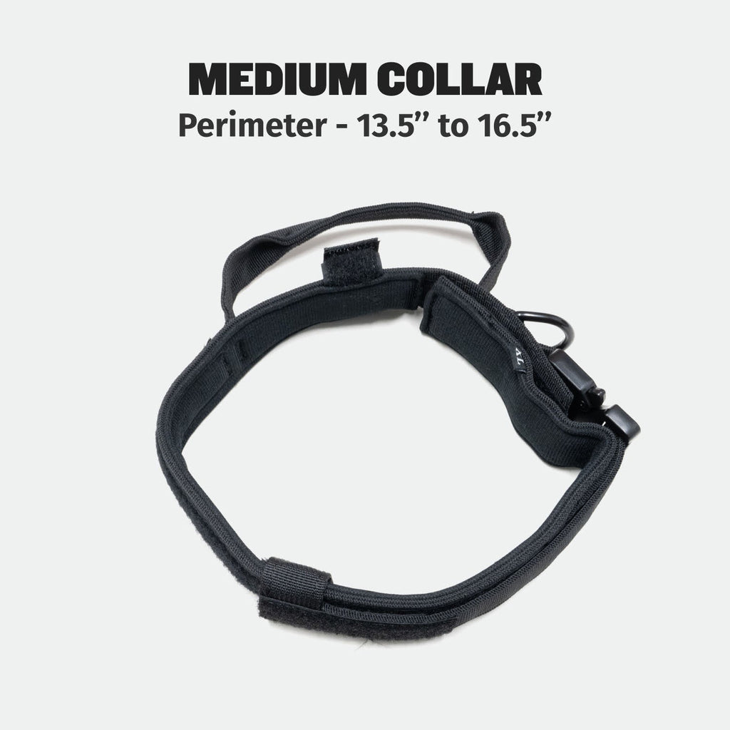 Padded Tactical Dog Collar product image 7
