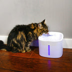 Filtered Cat Water Fountain product image 2
