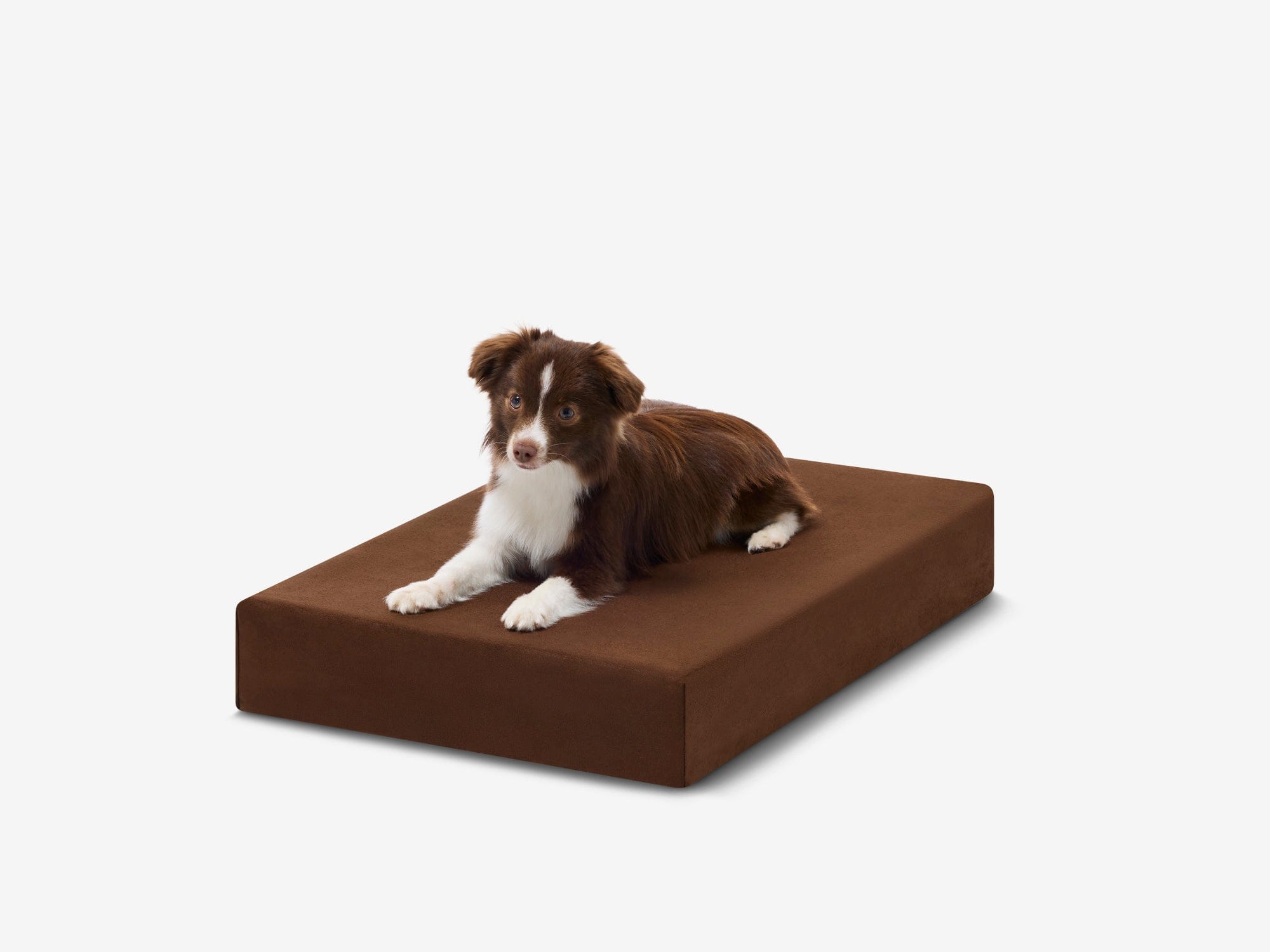 Orthopedic Dog Crate Bed product image 13