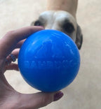 Dog Fetch Ball product image 4