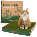 Cat Grass Pad product image 1