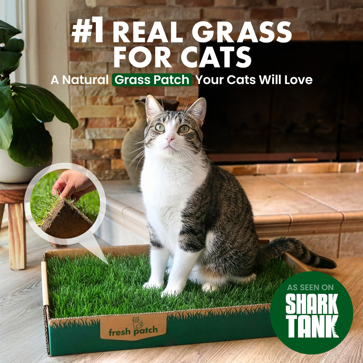 Cat Grass Pad product image 2
