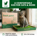 Cat Grass Pad product image 3