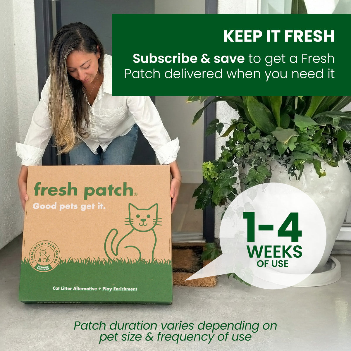 Cat Grass Pad product image 4