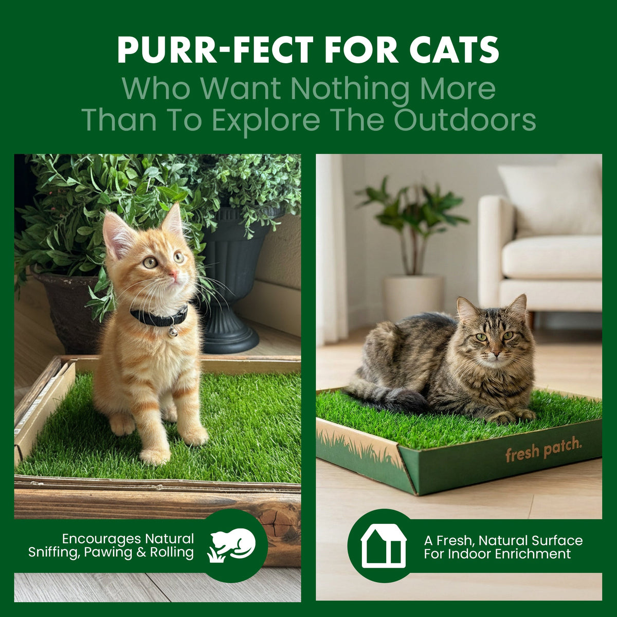 Cat Grass Pad product image 6
