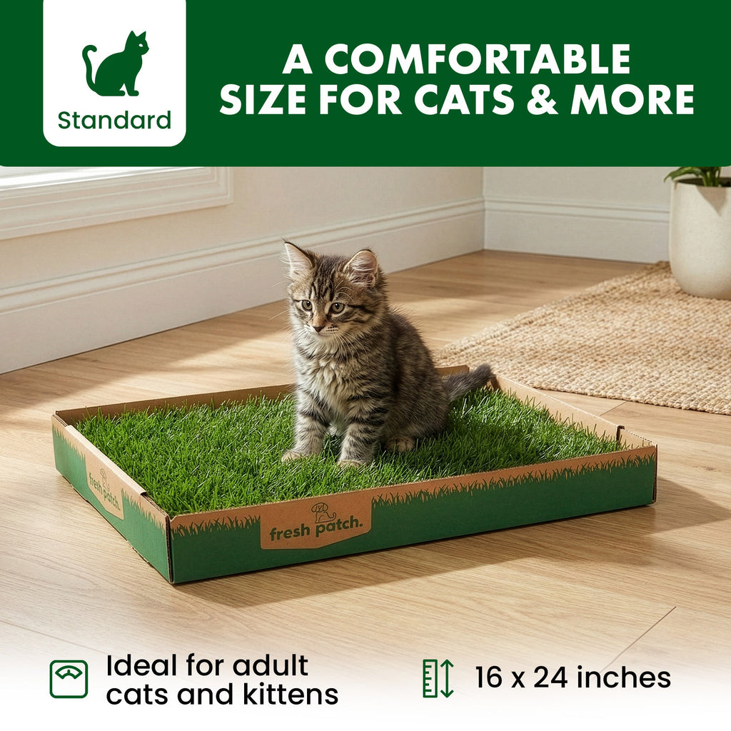 Cat Grass Pad product image 3