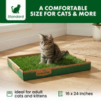 Cat Grass Pad product image 3