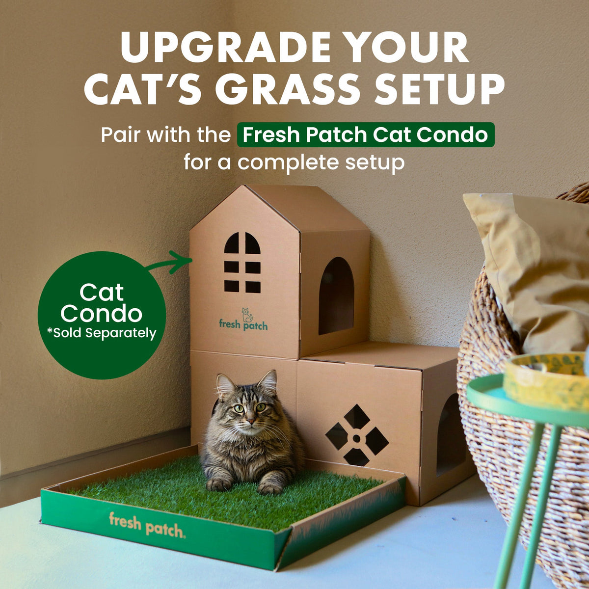 Cat Grass Pad product image 5
