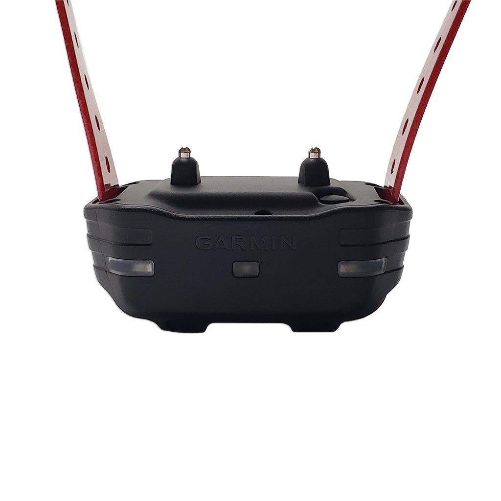 Remote Dog Training Collar product image 3