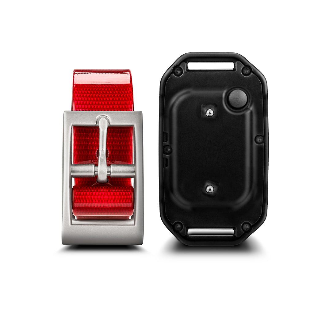 Remote Dog Training Collar product image 6