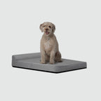 Water-Repellent Dog Crate Bed product image 19