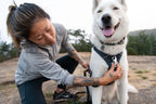 Dog Harness product image 14