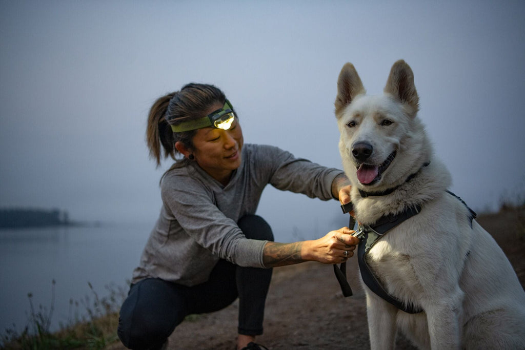 Dog Harness product image 15