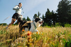Dog Harness product image 18