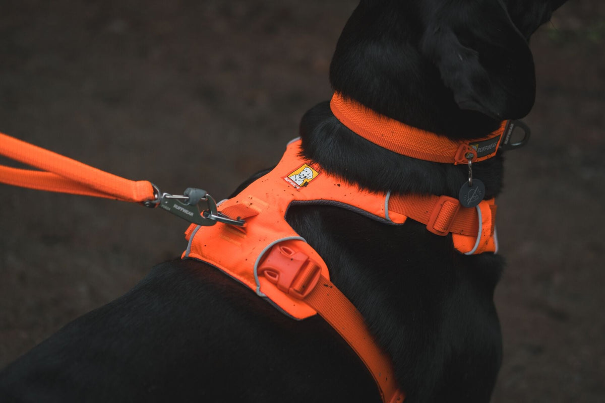Dog Harness product image 21