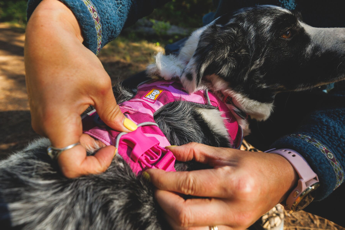Dog Harness product image 22