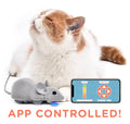 App Controlled Mouse Cat Toy, Default Title
