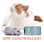 App Controlled Mouse Cat Toy, Default Title