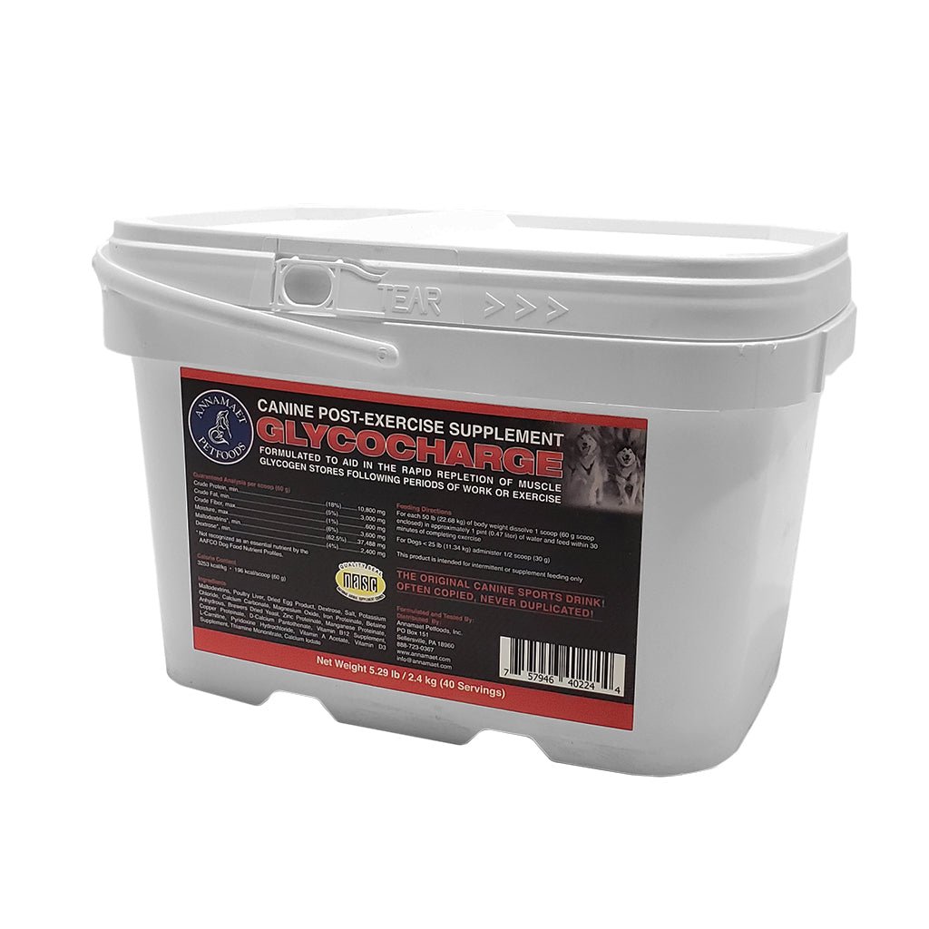Dog Recovery Supplement product image 4